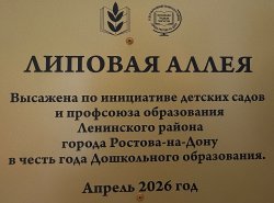 img (4)